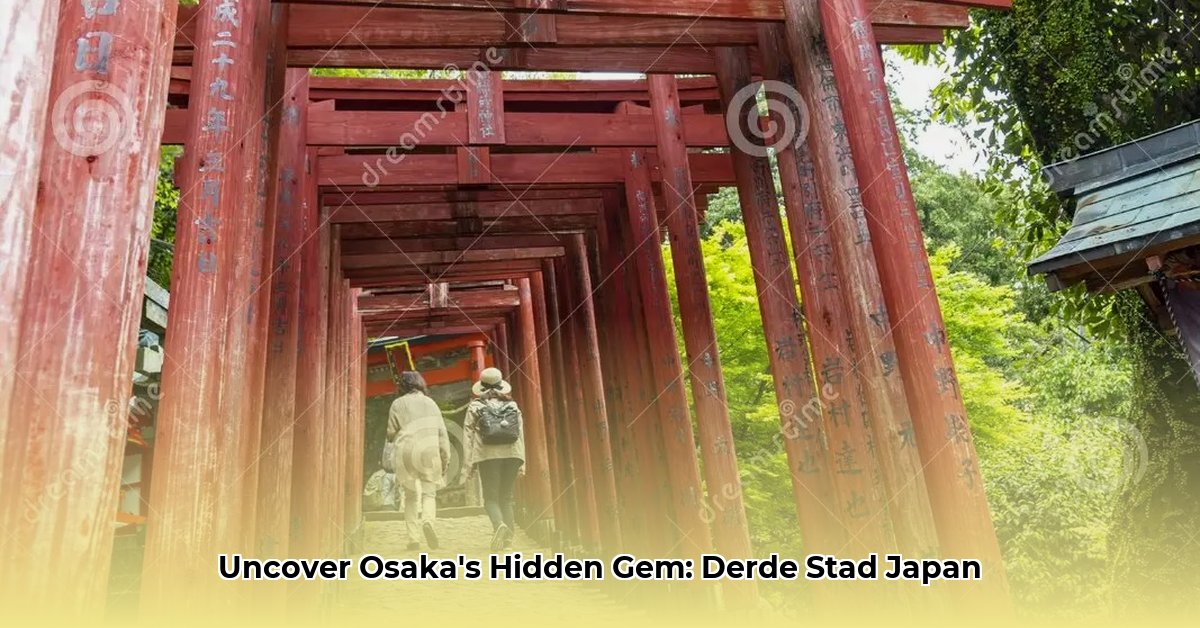derde-stad-japan